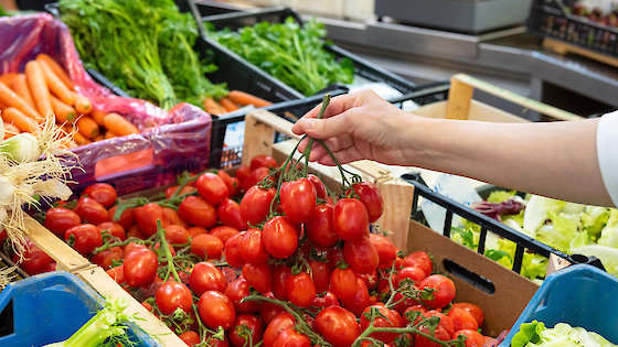Tomaten und andere Gemüsesorten auf einem Marktstand, Timofey Zadvornov/Shutterstock.com